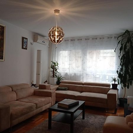 Go 2 Apartment Belgrado Buitenkant foto